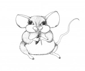 Seed Mouse